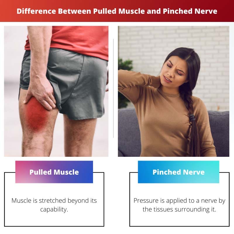 Razlika između istegnutog mišića i uklještenog živca