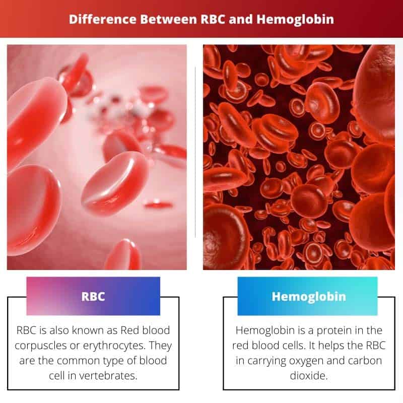 Unterschied zwischen RBC und Hämoglobin