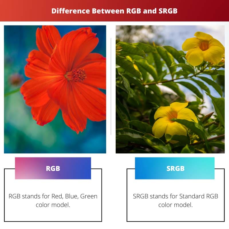 Sự khác biệt giữa RGB và SRGB