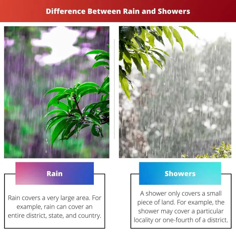 Difference Between Rain and Showers