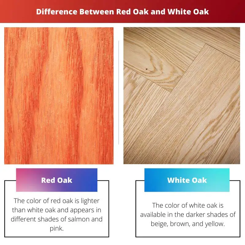Difference Between Red Oak and White Oak