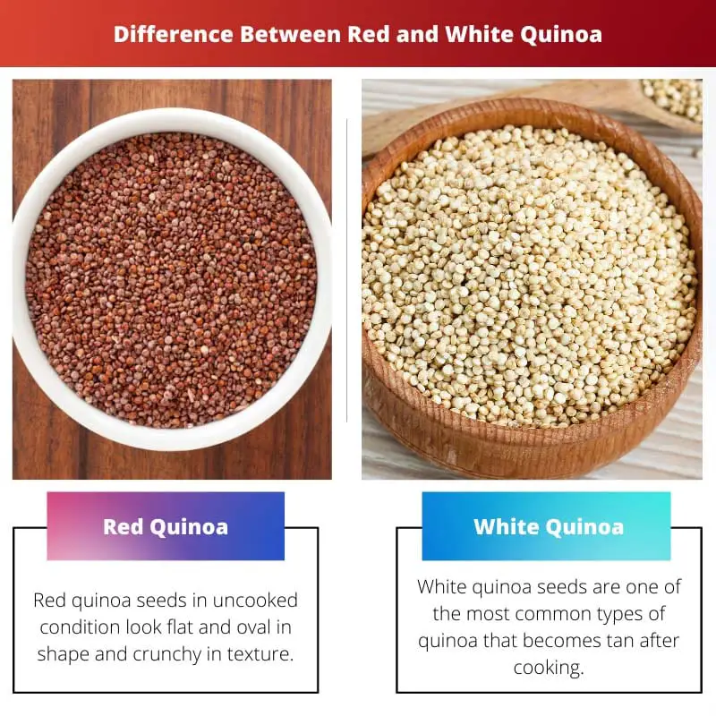 Rozdíl mezi červenou a bílou Quinoa