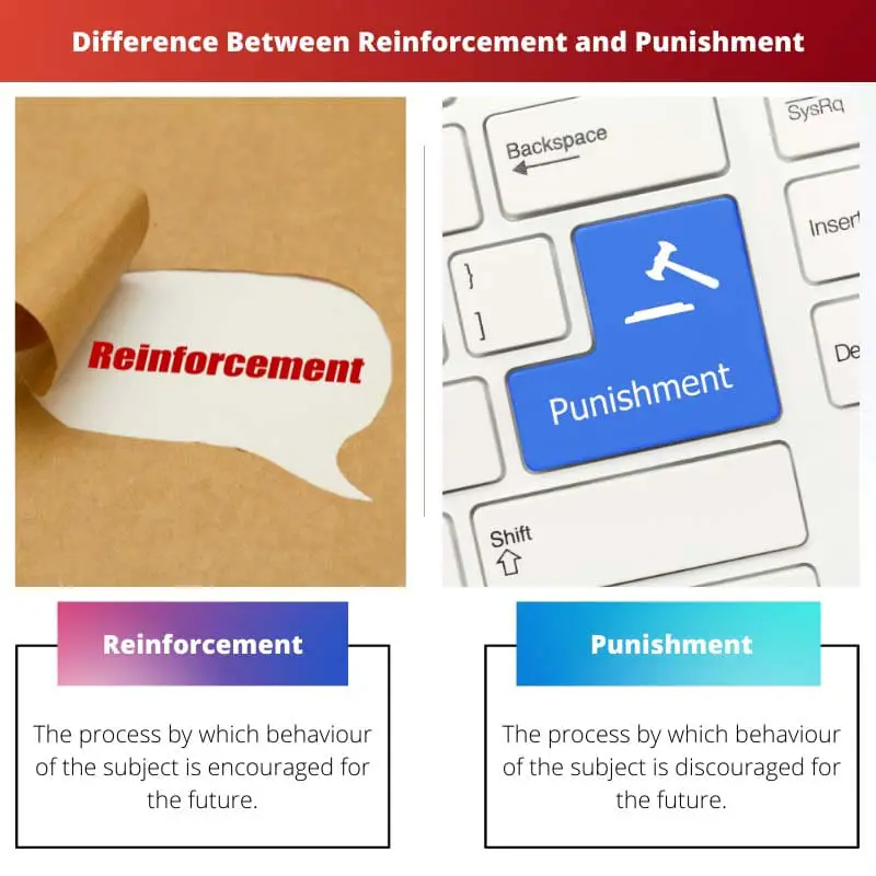 Difference Between Reinforcement and Punishment
