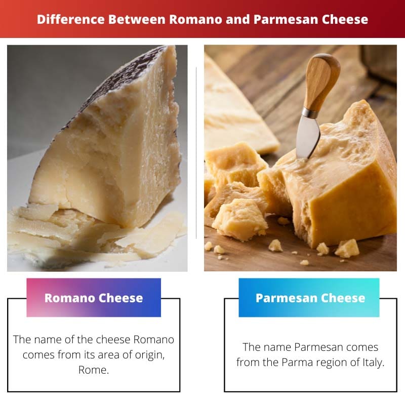 Rozdíl mezi sýrem Romano a parmazánem