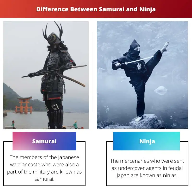 Rozdíl mezi samurajem a ninjou