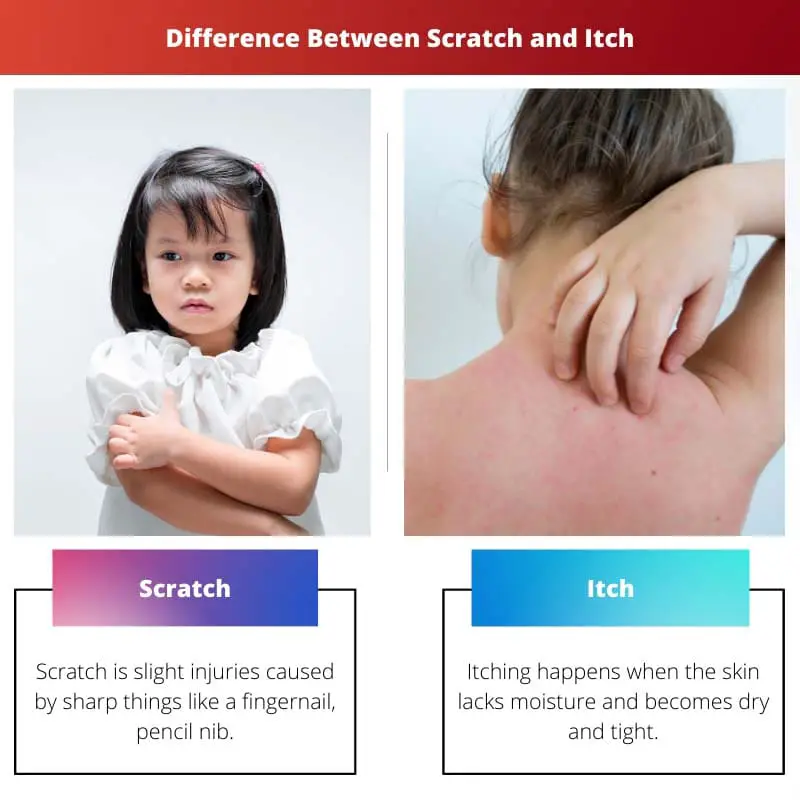 Rozdíl mezi Scratch a Itch