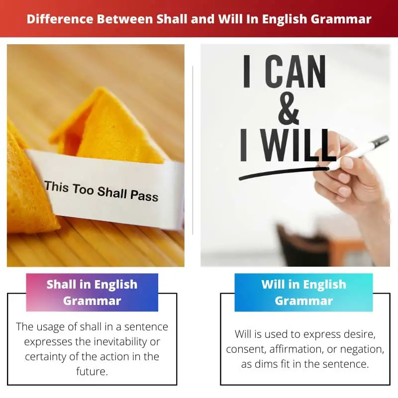 Difference Between Shall and Will In English Grammar