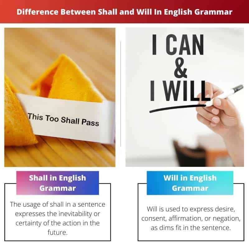 Shall Vs Will In English Grammar Difference And Comparison