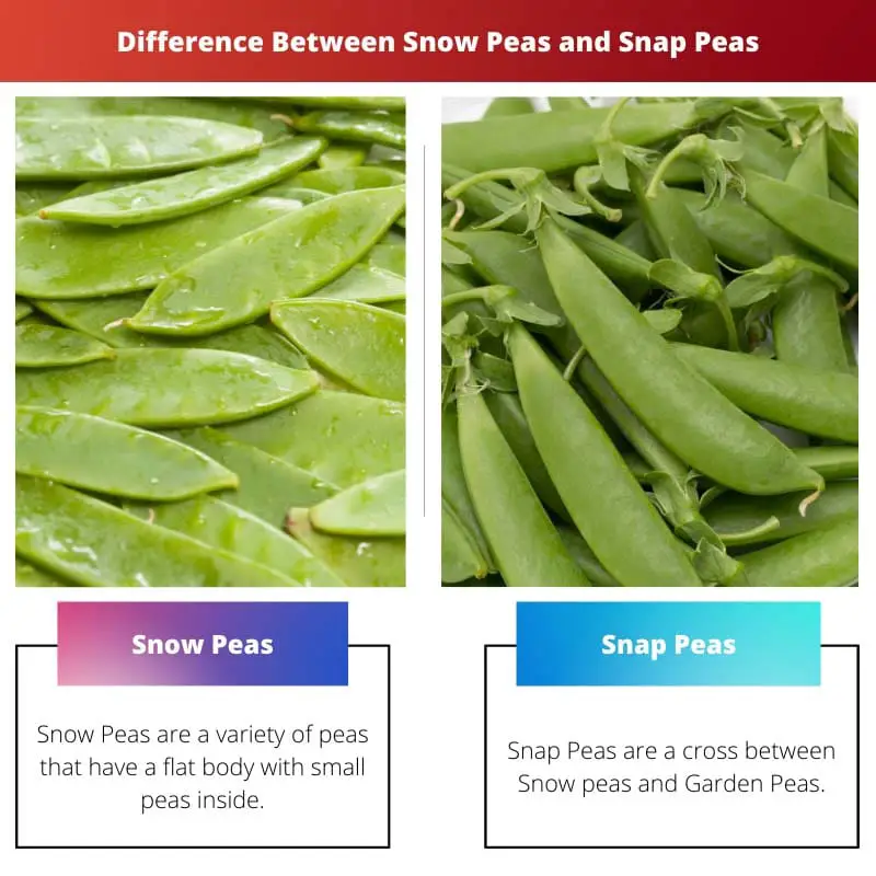 Sự khác biệt giữa Snow Peas và Snap Peas