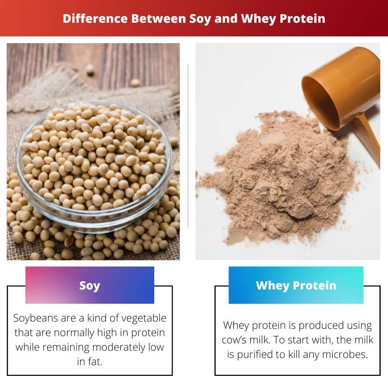 Diferencia entre la soja y la proteína de suero