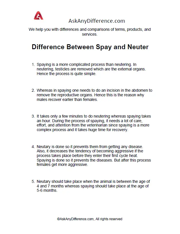 Difference Between Spay and Neuter