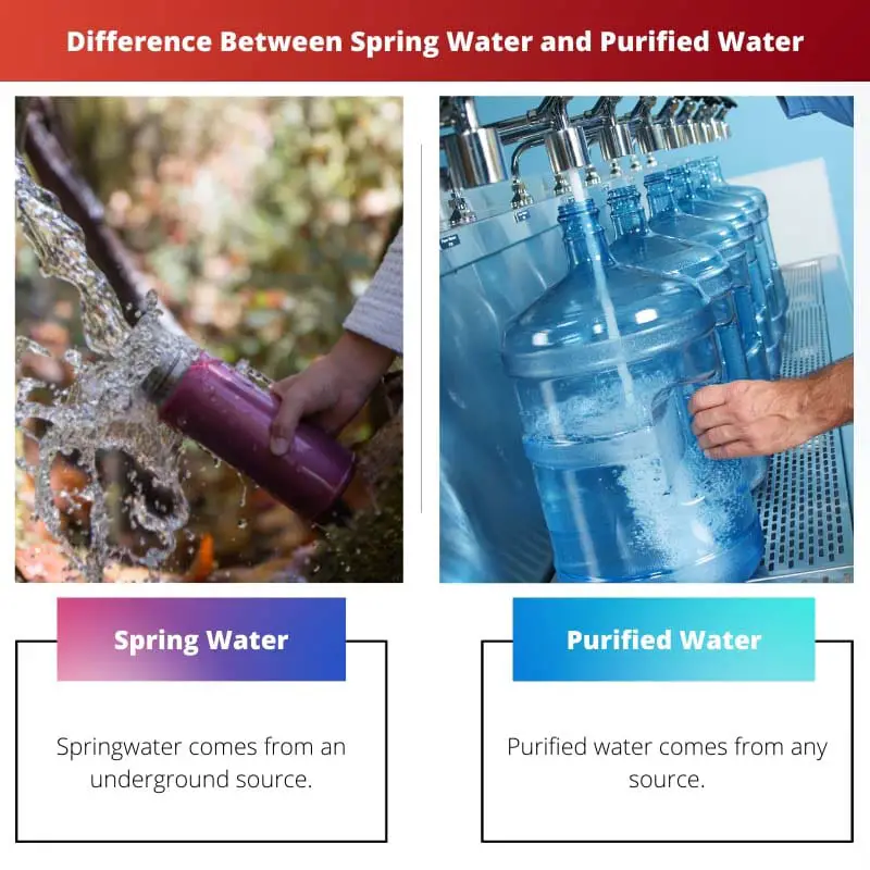 Difference Between Spring Water and Purified Water