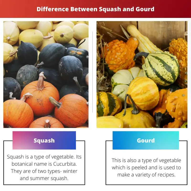 Difference Between Squash and Gourd