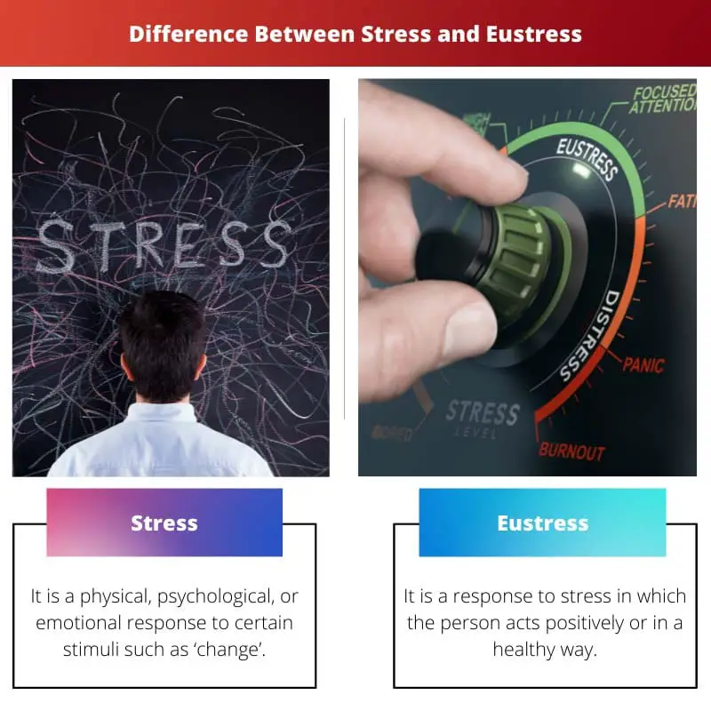 Difference Between Stress and Eustress