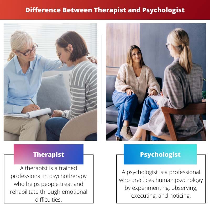 Difference Between Therapist and Psychologist
