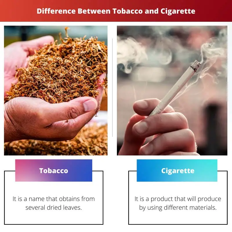 Difference Between Tobacco and Cigarette