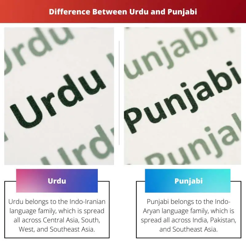 Razlika između urdu i pandžapskog jezika