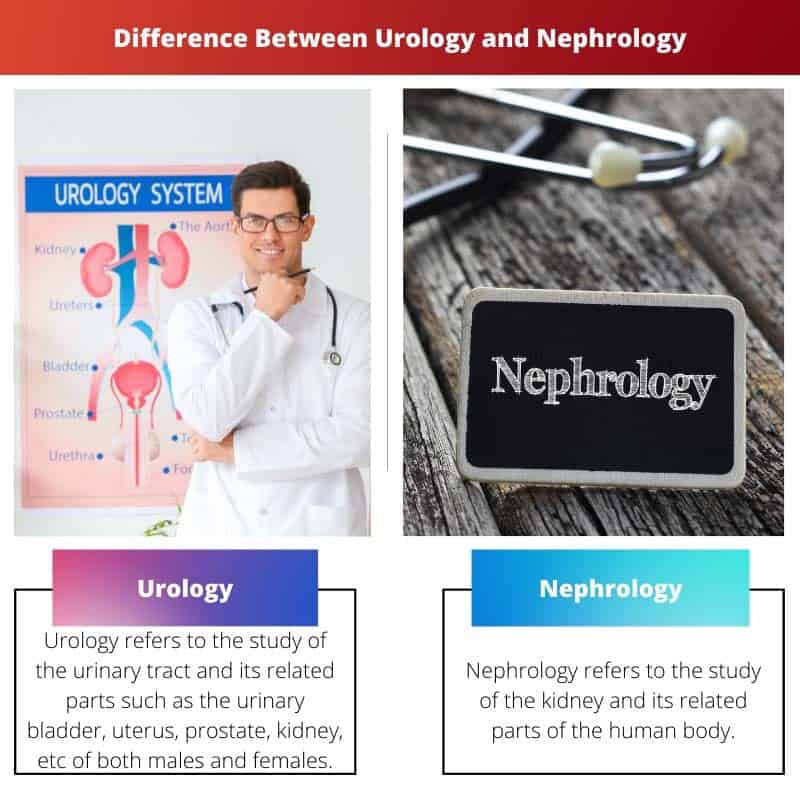 Difference Between Urology and Nephrology