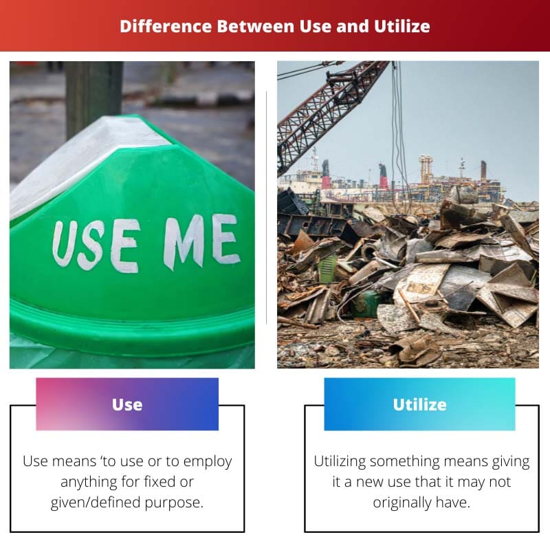 Difference Between Use and Utilize