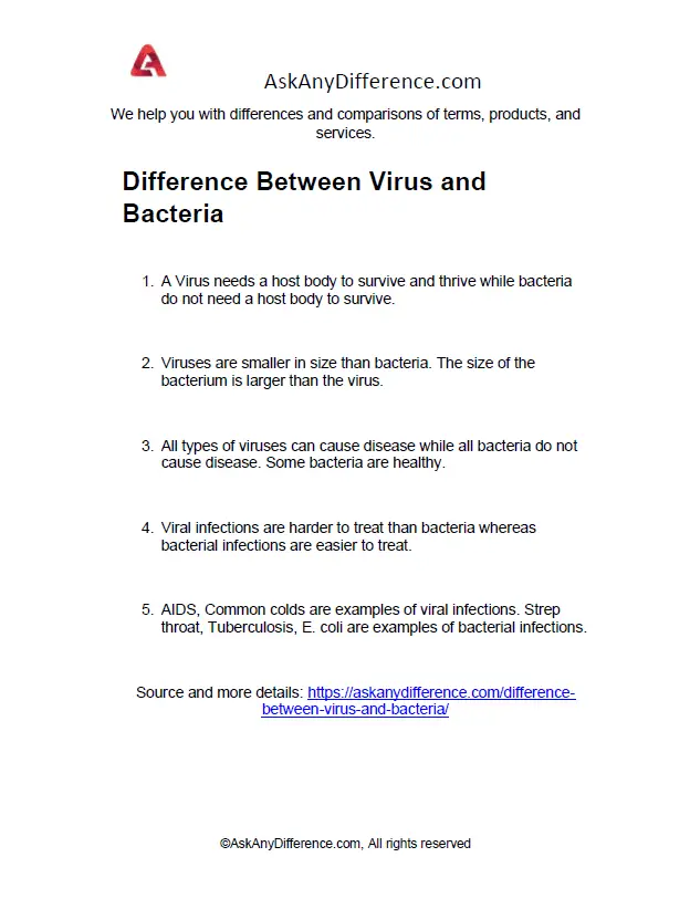 Difference Between Virus and Bacteria