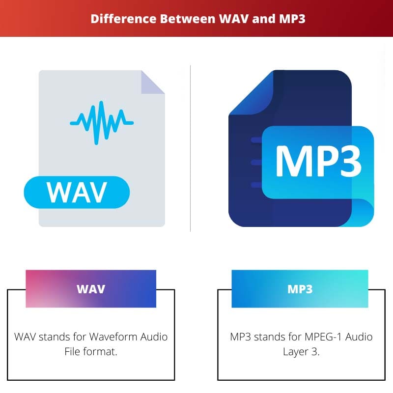 WAV 和 MP3 之间的区别