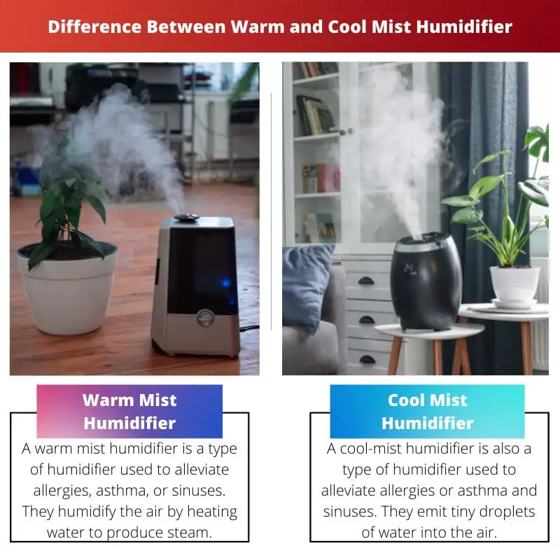 Razlika između ovlaživača s toplom i hladnom maglom