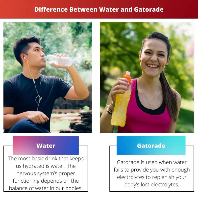 Difference Between Water and Gatorade