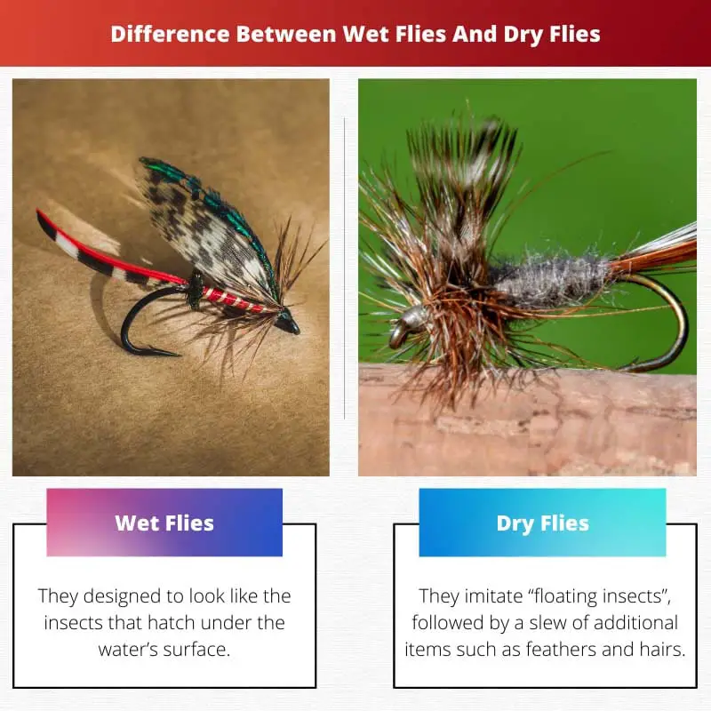 Difference Between Wet Flies And Dry Flies