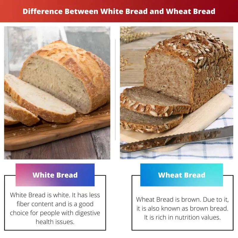 Difference Between White Bread and Wheat Bread