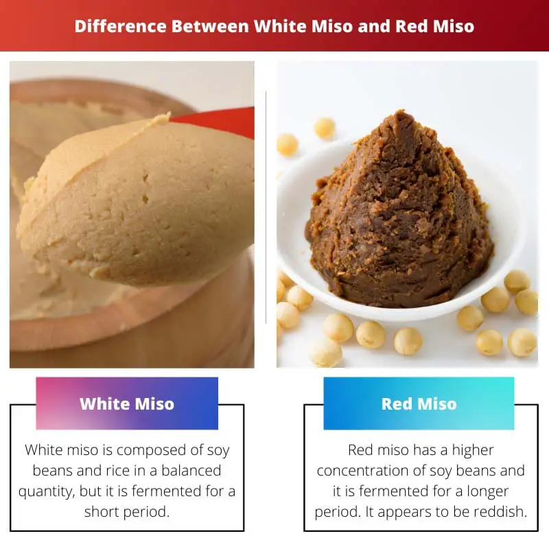 Différence entre le miso blanc et le miso rouge