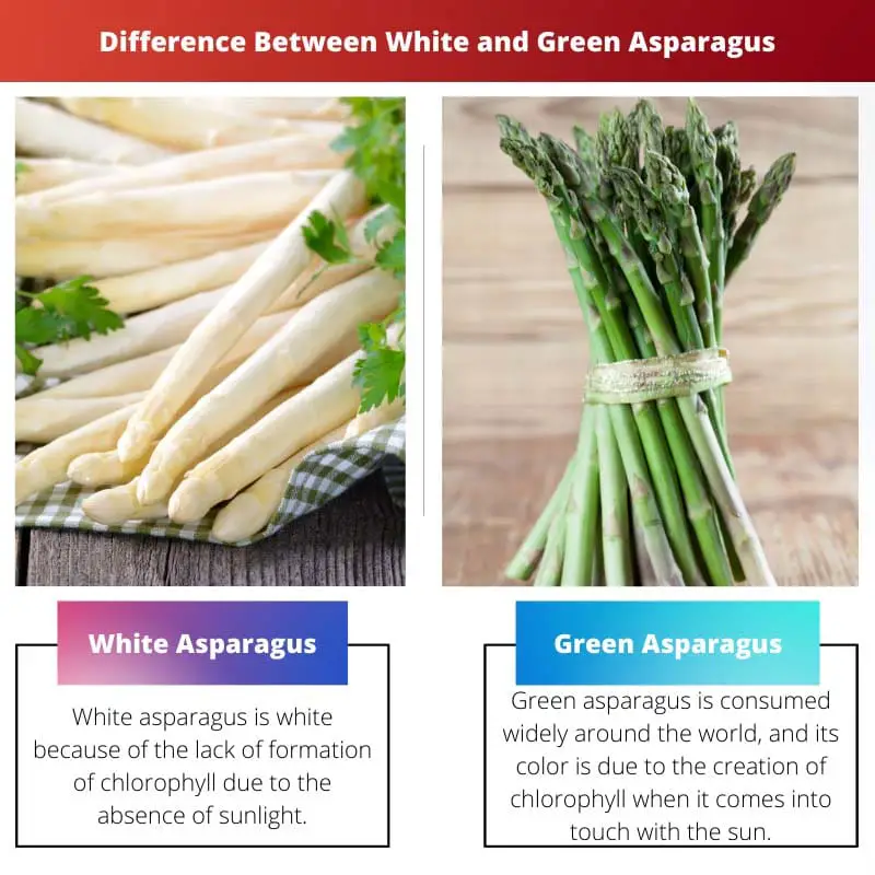 Difference Between White and Green Asparagus