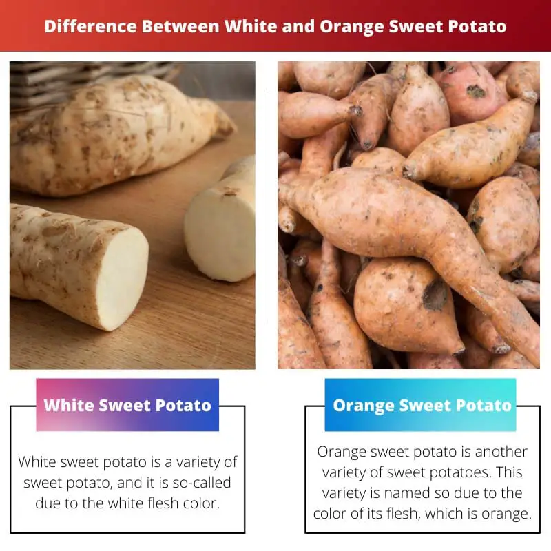 Forskellen mellem hvid og orange sød kartoffel