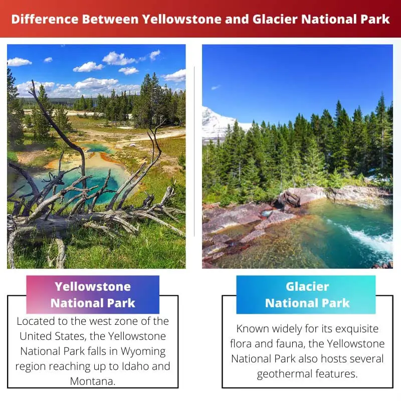येलोस्टोन और ग्लेशियर नेशनल पार्क के बीच अंतर