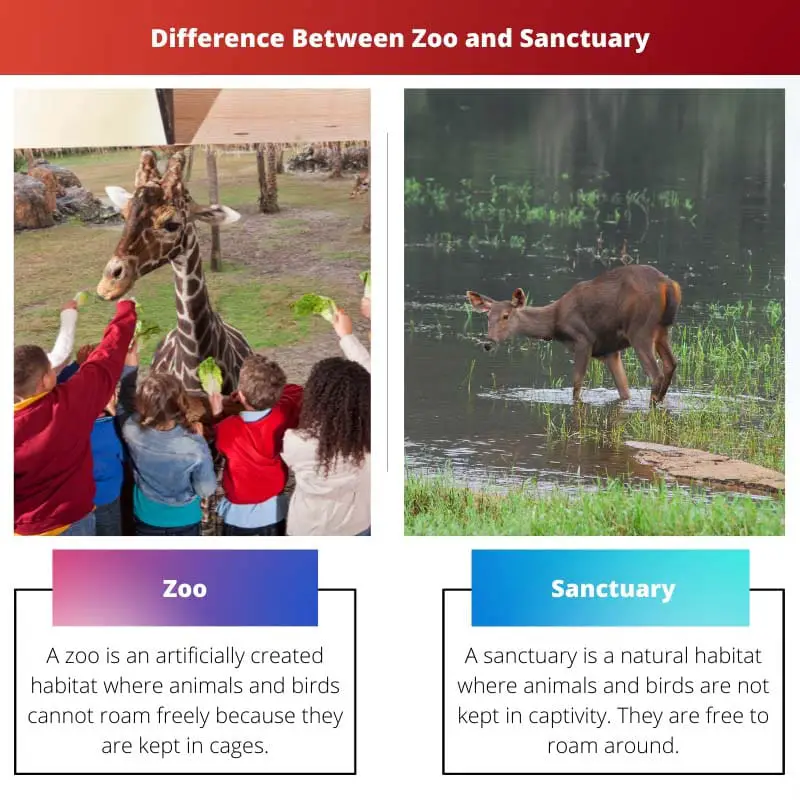 Diferença entre zoológico e santuário