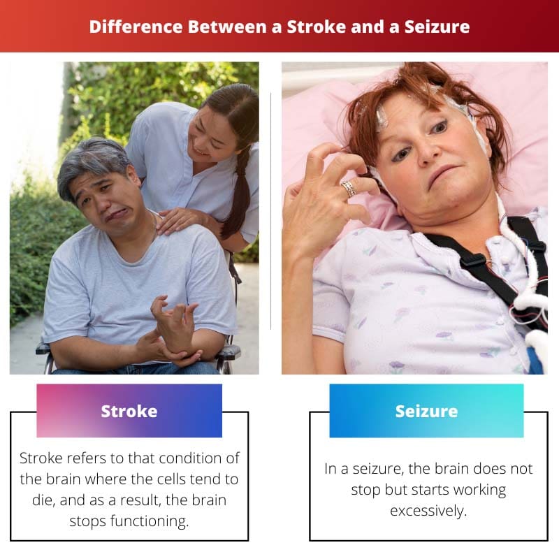 ความแตกต่างระหว่างโรคหลอดเลือดสมองและอาการชัก