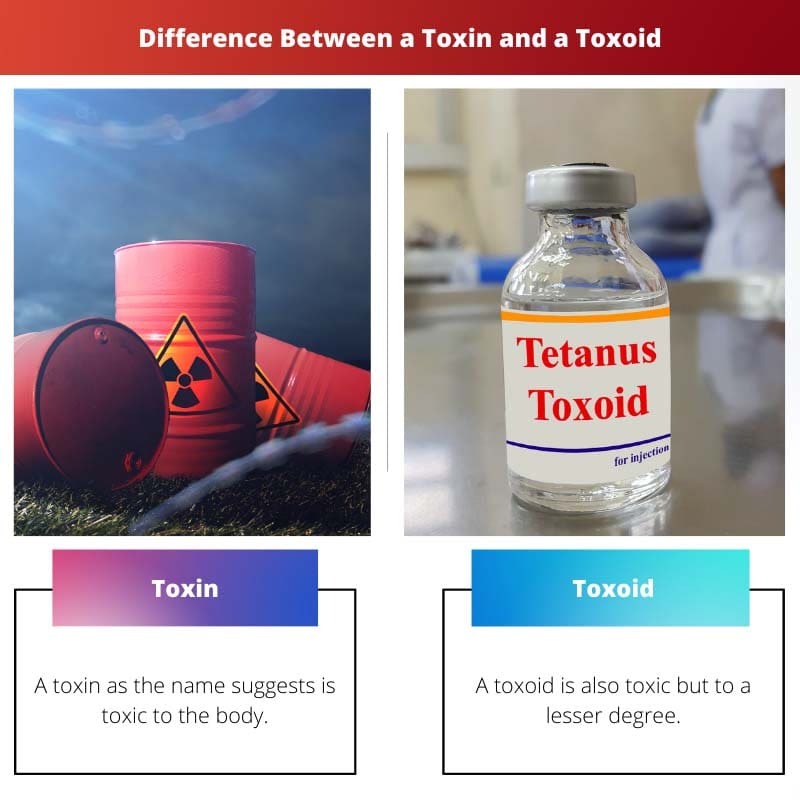 Atšķirība starp toksīnu un a