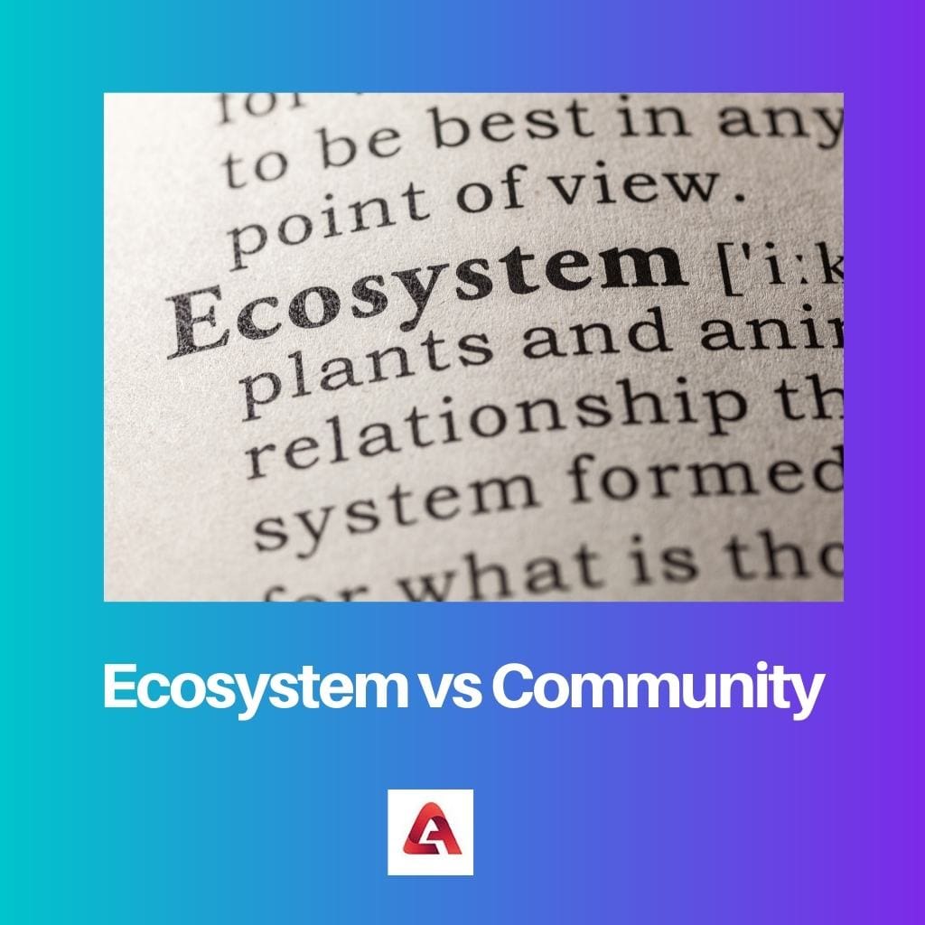 Ecosystem vs Community