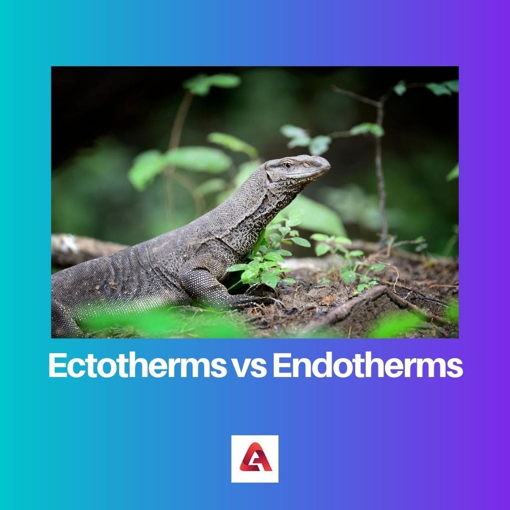 Ektotermid vs endotermid