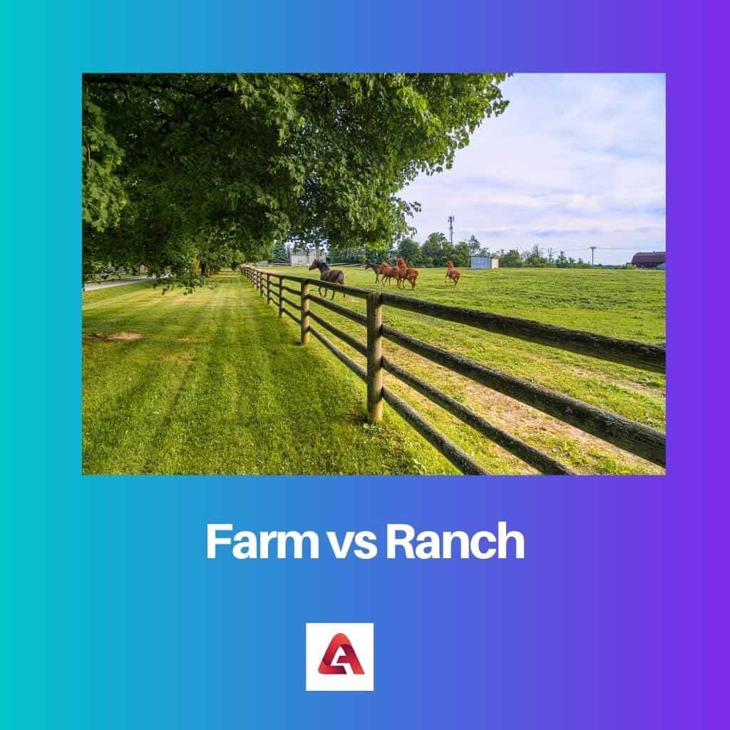 Farm Vs Ranch Difference And Comparison