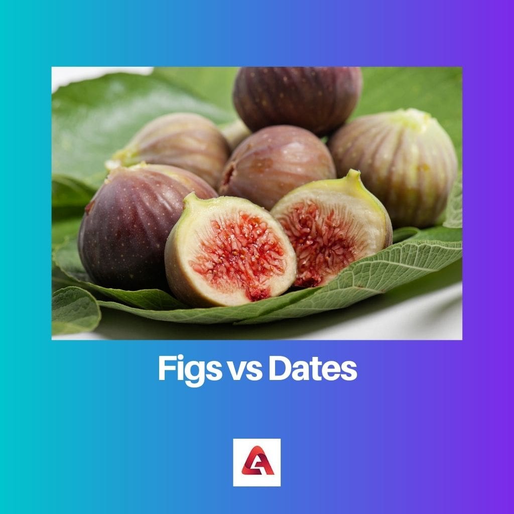Figs vs Dates
