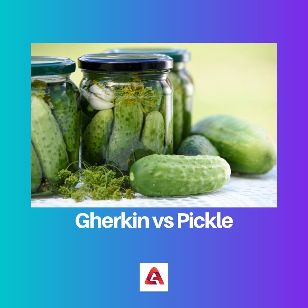 Gherkin vs dưa chua