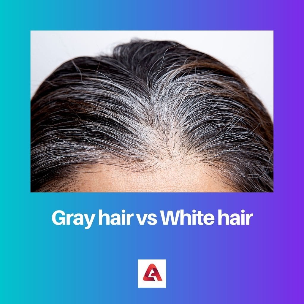 Gray hair vs White hair