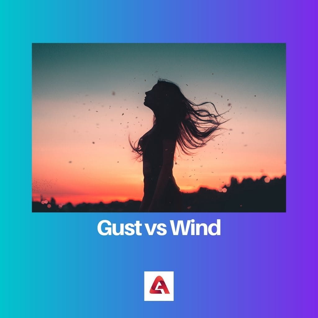 Windvlaag versus wind