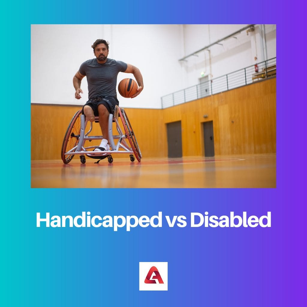 Handicapped vs Disabled