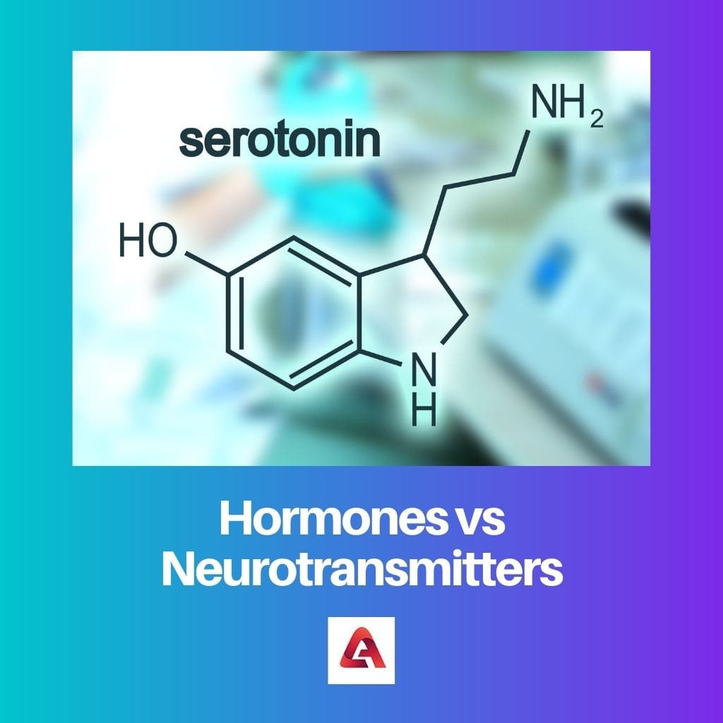 Hormones vs Neurotransmitters