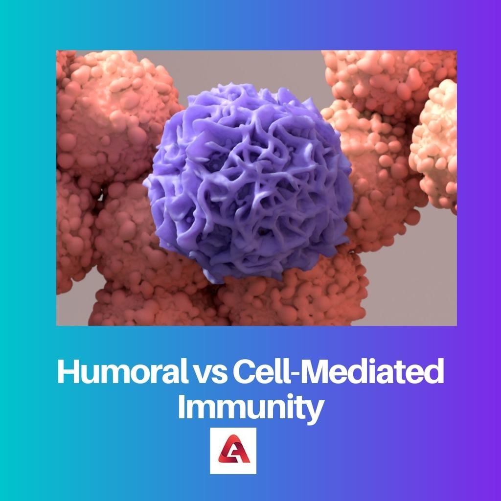 Inmunidad humoral vs mediada por células