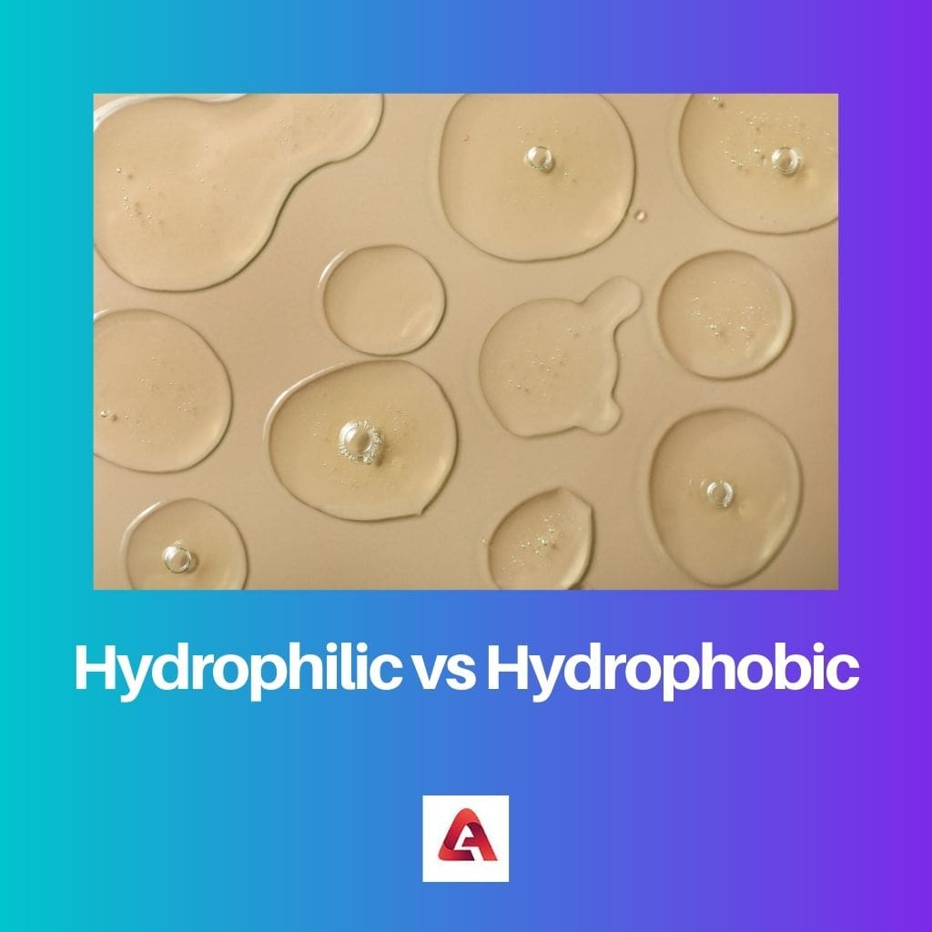 Hüdrofiilne vs hüdrofoobne