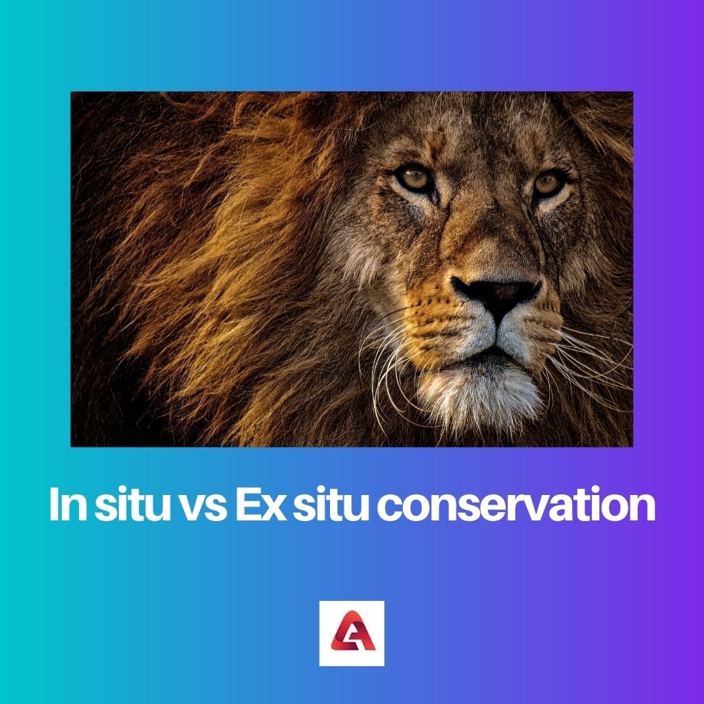 In situ vs Ex situ conservation