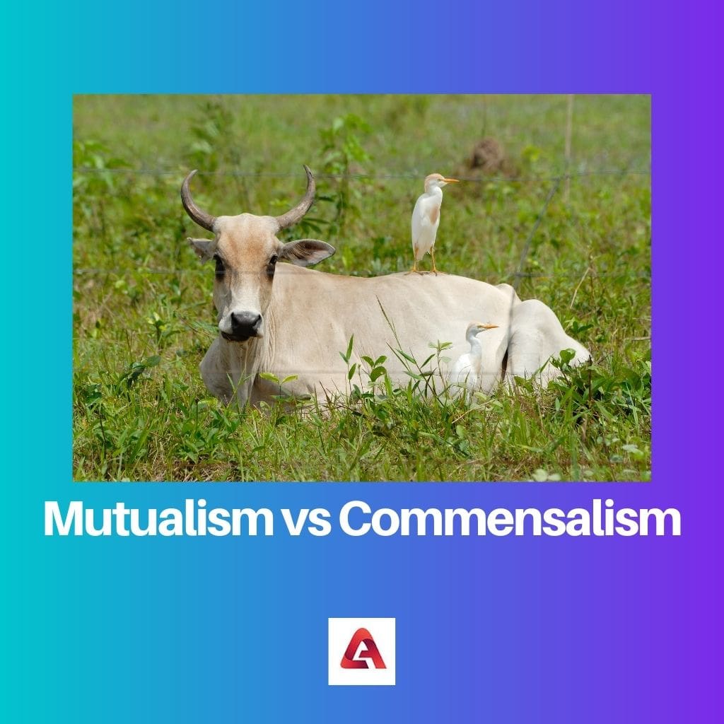Mutualisme vs Commensalisme