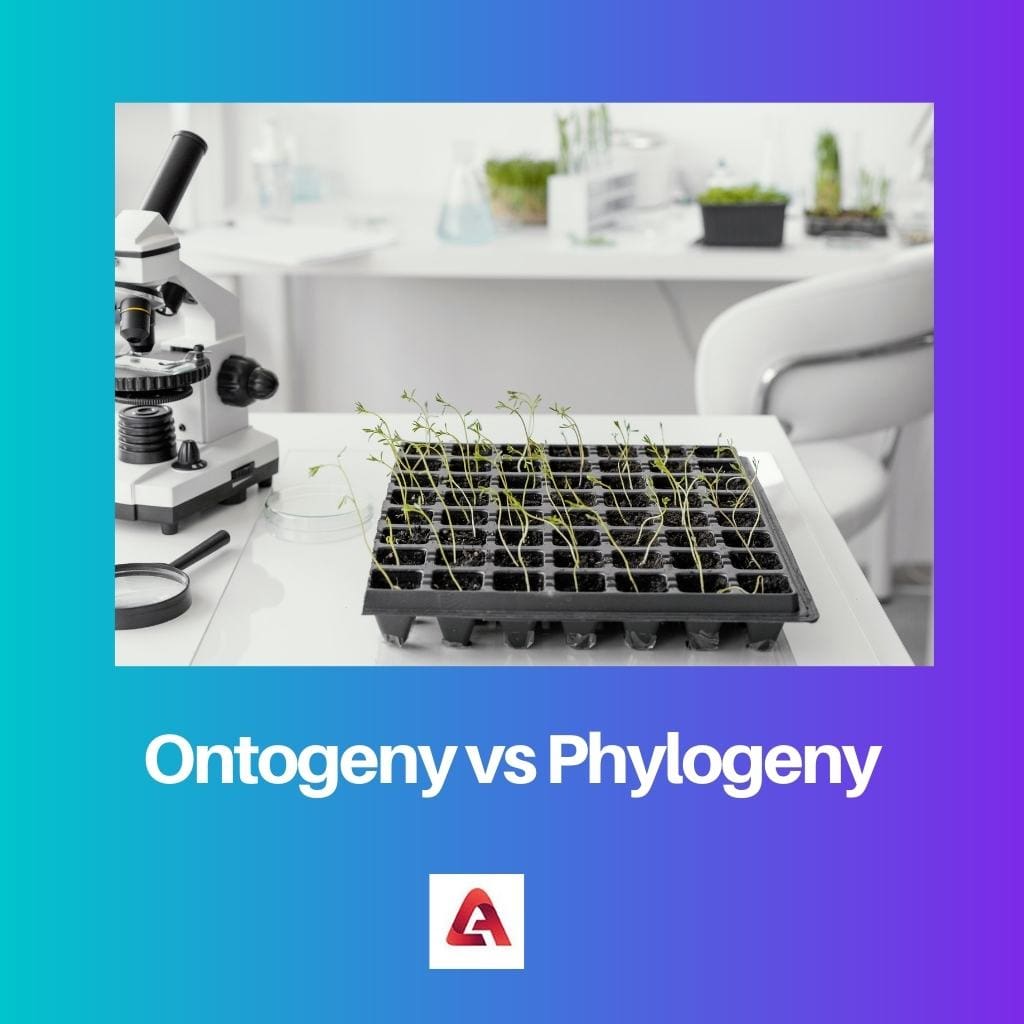 Ontogenese vs. Phylogenie